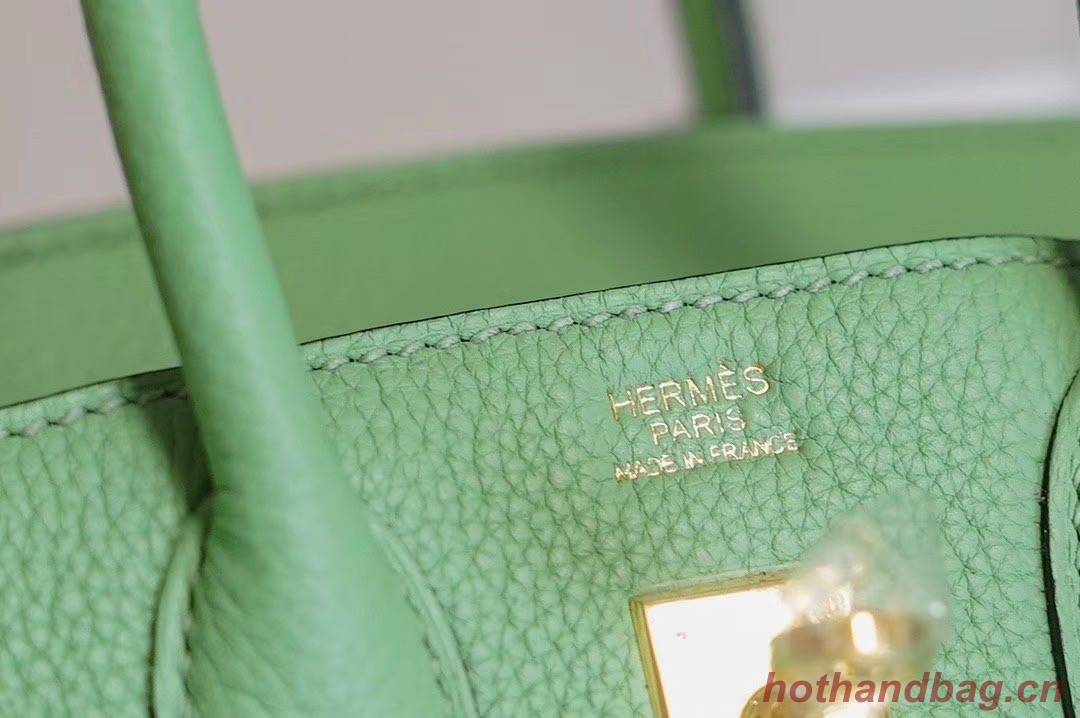 Hermes Birkin 25CM Togo Leather H5601 green