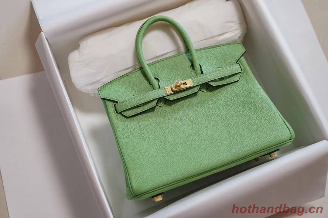 Hermes Birkin 25CM Togo Leather H5601 green