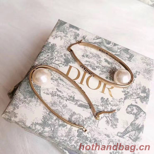 Dior Earrings CE4900