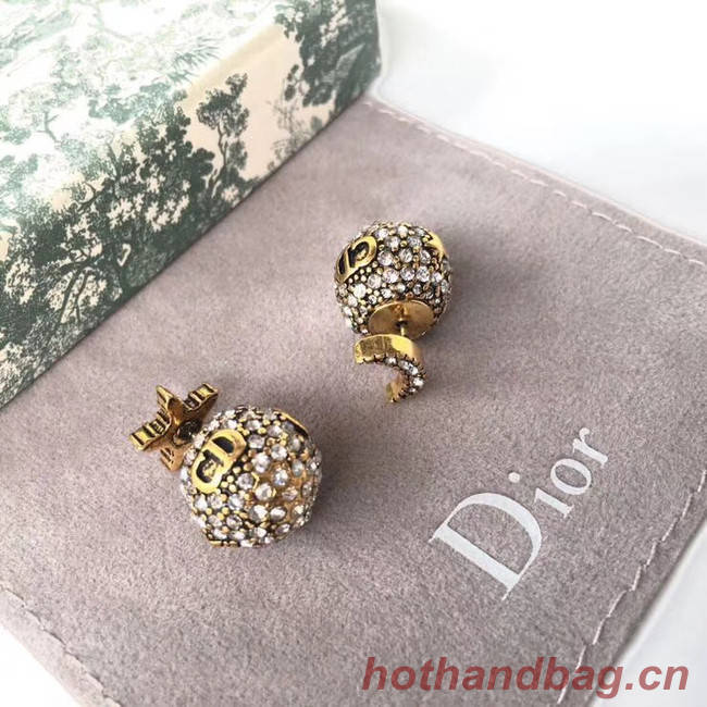 Dior Earrings CE4889