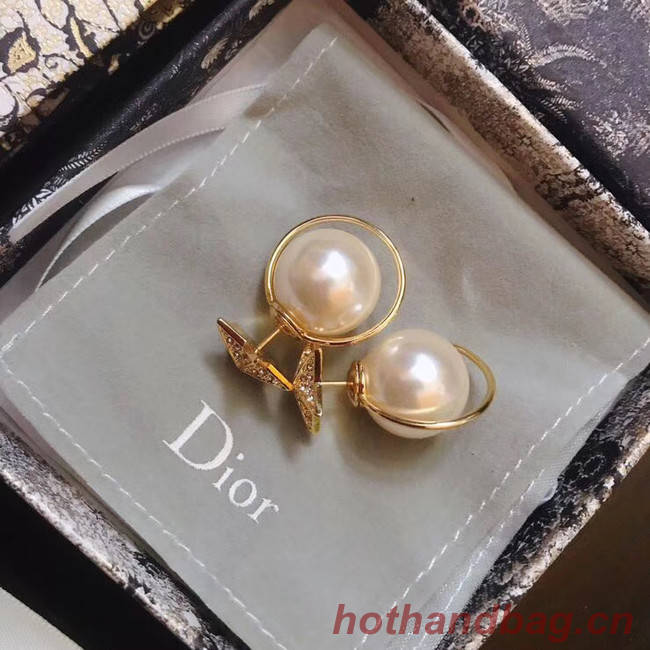 Dior Earrings CE4896