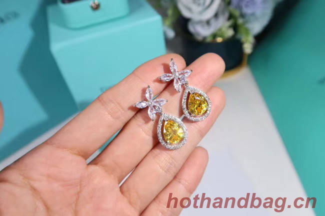 TIFFANY Earrings CE4911