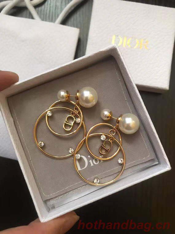 Dior Earrings CE5013