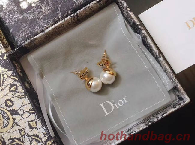 Dior Earrings CE5018