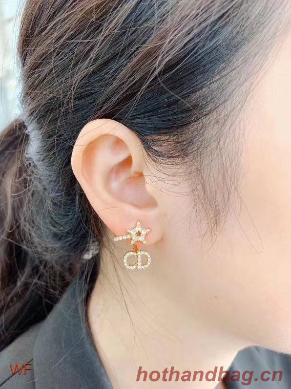 Dior Earrings CE5024