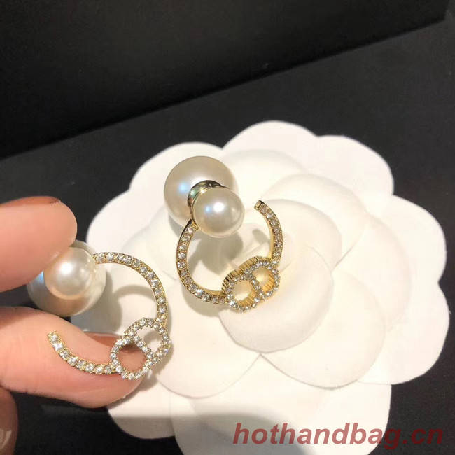 Dior Earrings CE5025