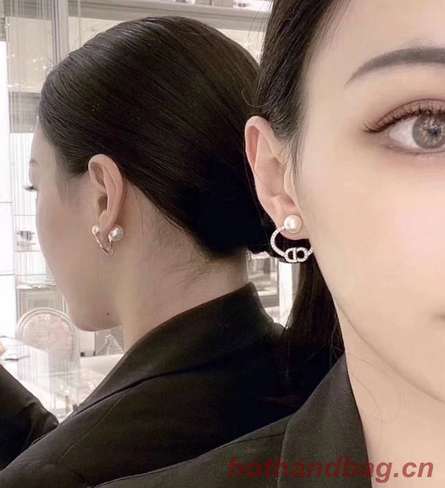 Dior Earrings CE5025