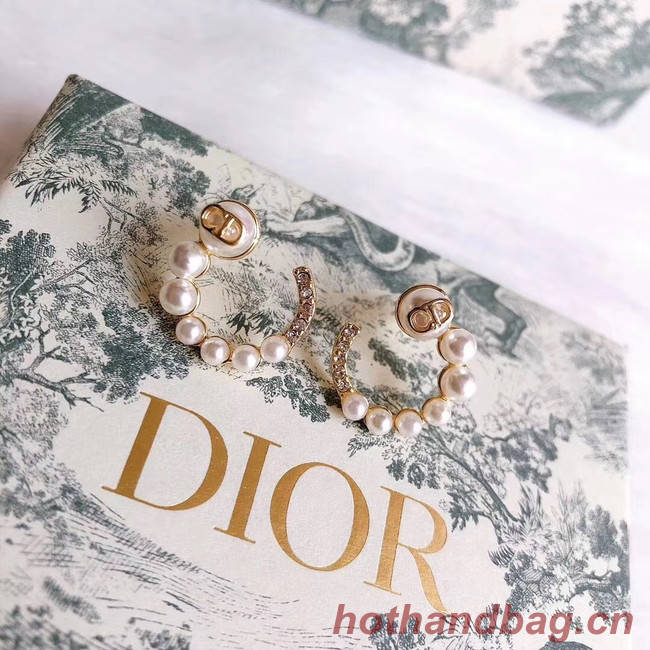 Dior Earrings CE5026