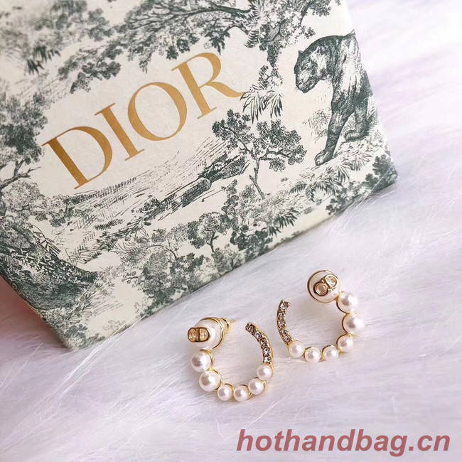 Dior Earrings CE5026