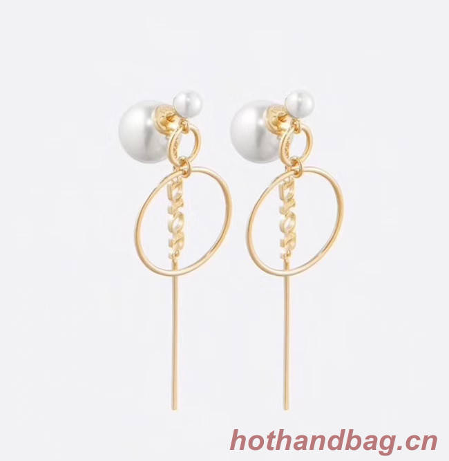 Dior Earrings CE5027