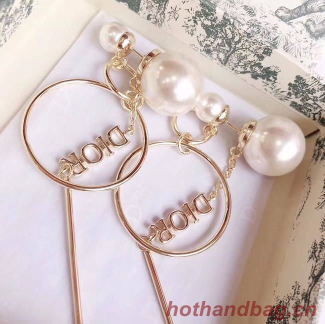 Dior Earrings CE5027