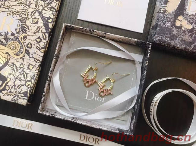 Dior Earrings CE5031