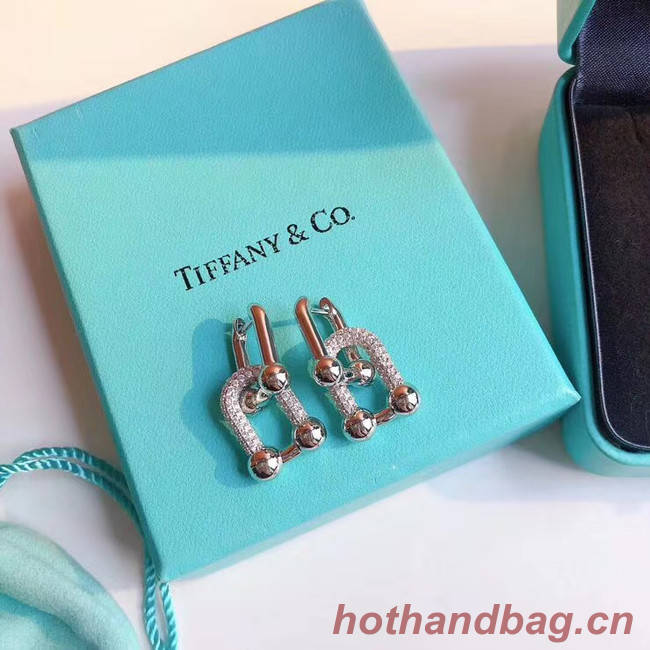 TIFFANY Earrings CE5060