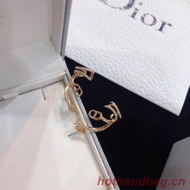 Dior Earrings CE5133