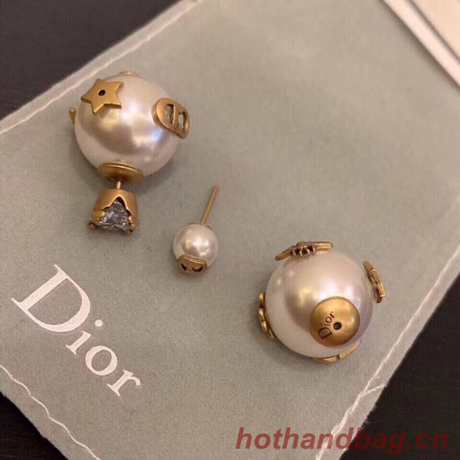 Dior Earrings CE5134