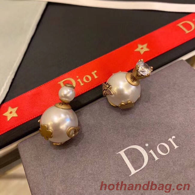 Dior Earrings CE5134