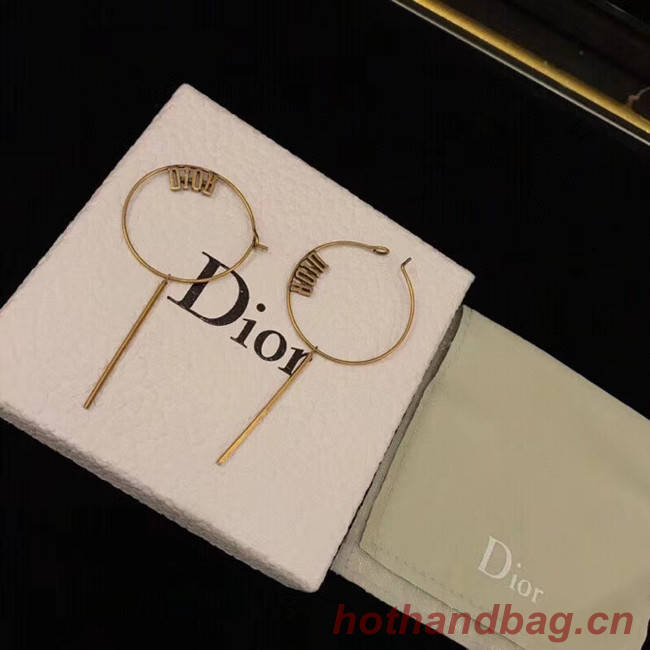 Dior Earrings CE5135