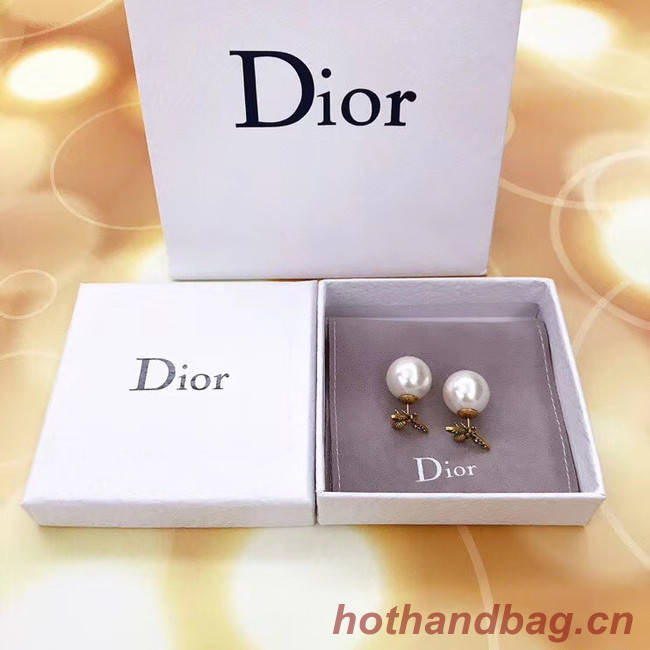 Dior Earrings CE5136