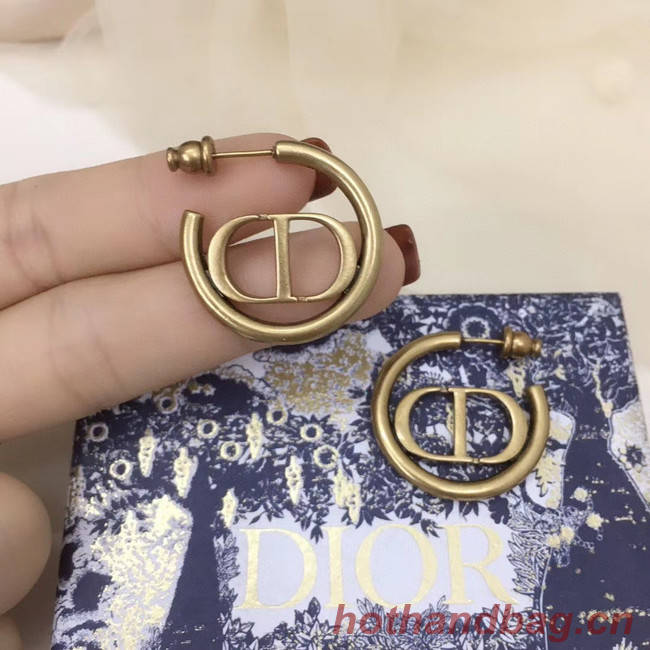 Dior Earrings CE5147