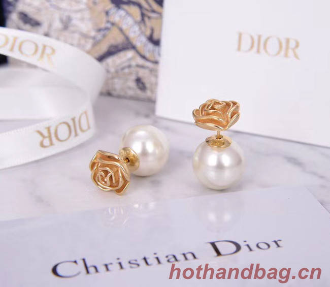 Dior Earrings CE5182