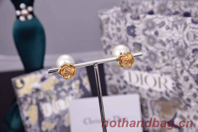 Dior Earrings CE5182