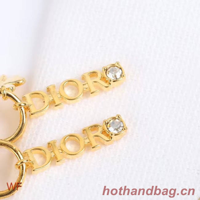 Dior Earrings CE5252