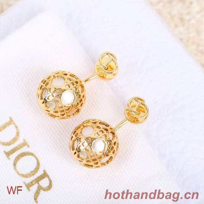 Dior Earrings CE5254