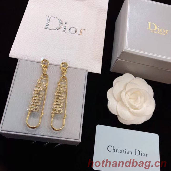 Dior Earrings CE5288