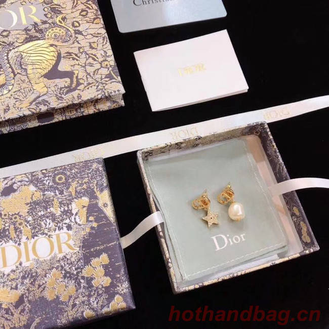 Dior Earrings CE5358