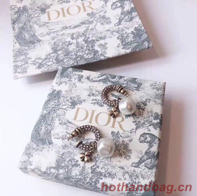 Dior Earrings CE5363