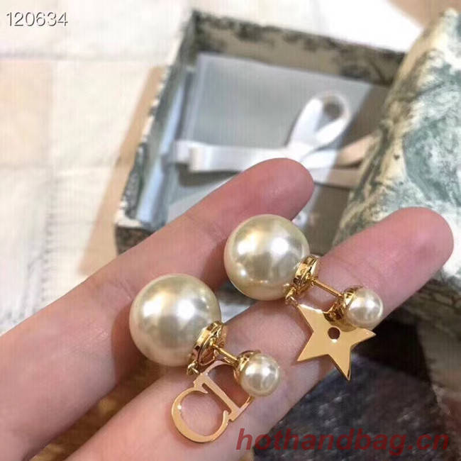 Dior Earrings CE5364