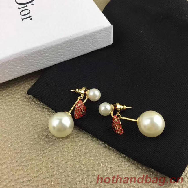 Dior Earrings CE5369