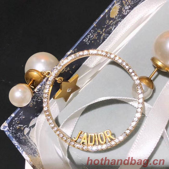 Dior Earrings CE5454