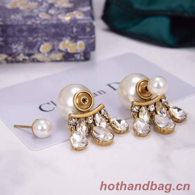 Dior Earrings CE5456