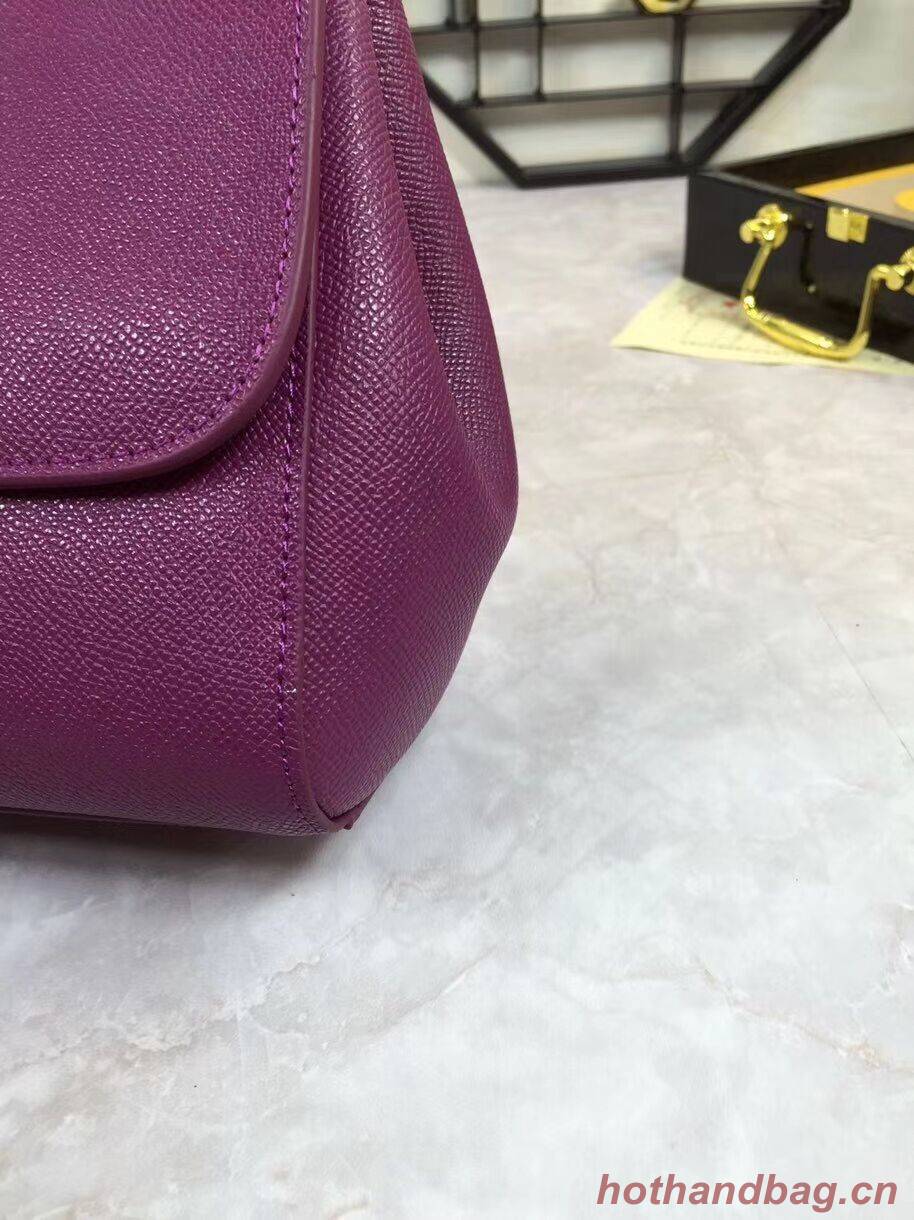 Dolce & Gabbana Origianl Leather 4136 violet