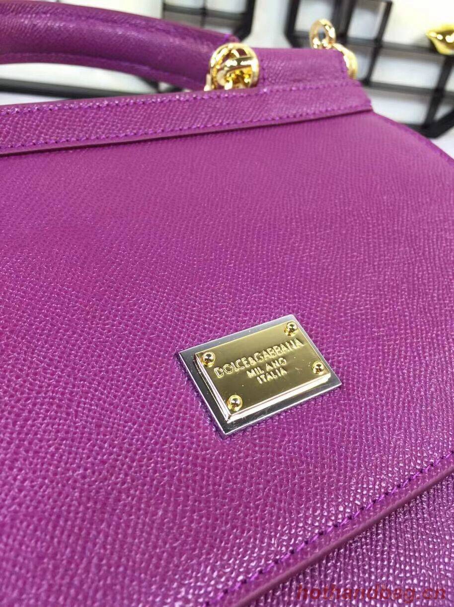 Dolce & Gabbana Origianl Leather 4136 violet