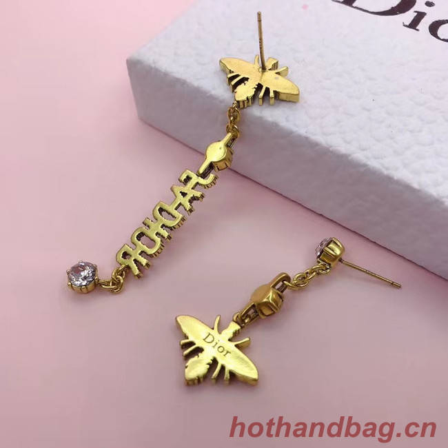 Dior Earrings CE5554