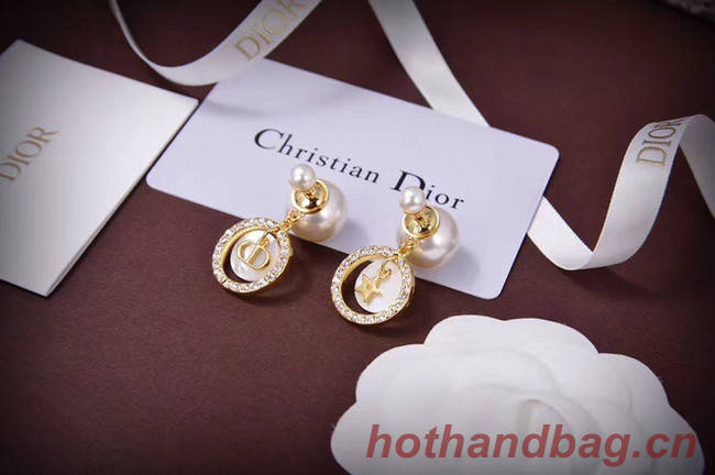 Dior Earrings CE5667