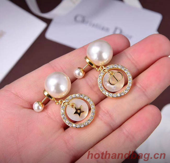 Dior Earrings CE5667