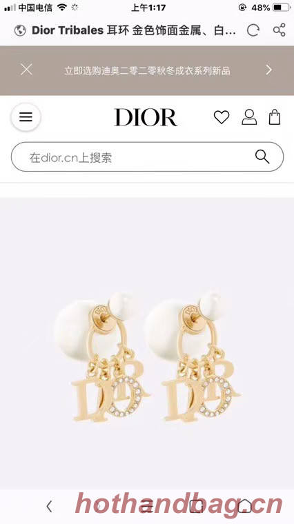 Dior Earrings CE5671