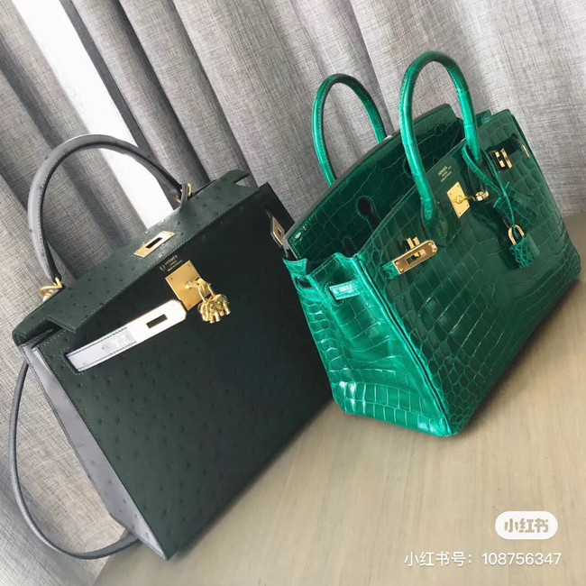 Hermes Birkin Bag Original Leather crocodile HBK35 green