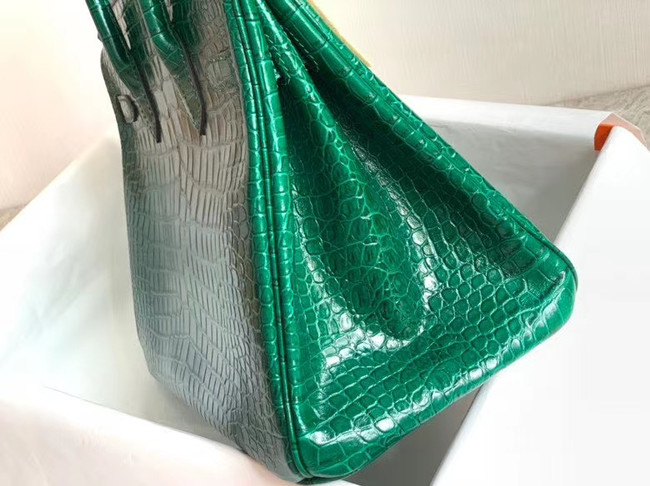 Hermes Birkin Bag Original Leather crocodile HBK35 green