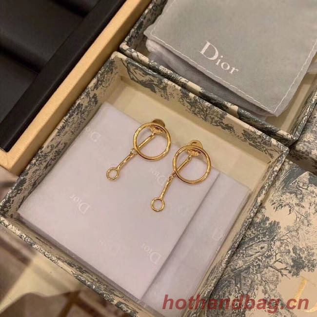 Dior Earrings CE5746