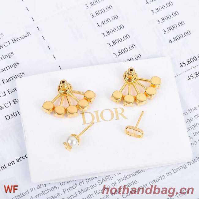 Dior Earrings CE5749