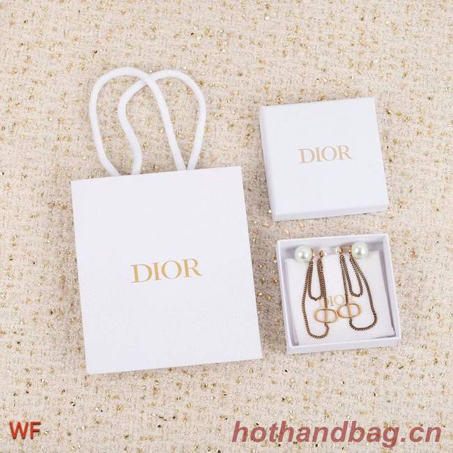 Dior Earrings CE5750