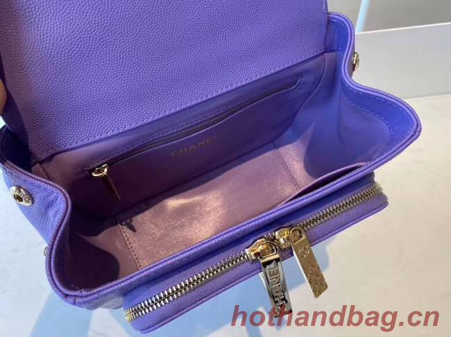 Chanel small flap bag Calfskin & Gold-Tone Metal A93749 purple