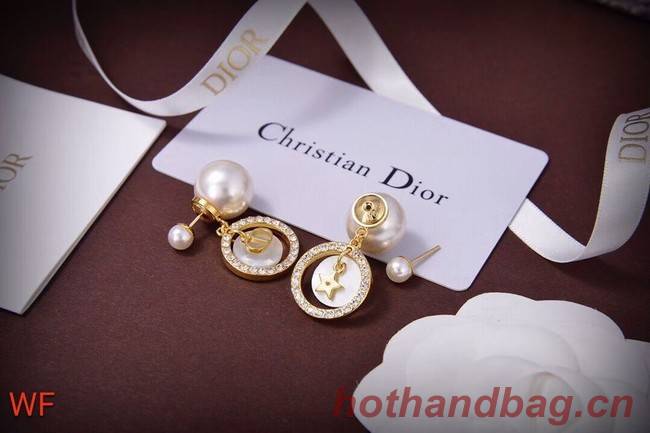 Dior Earrings CE5828