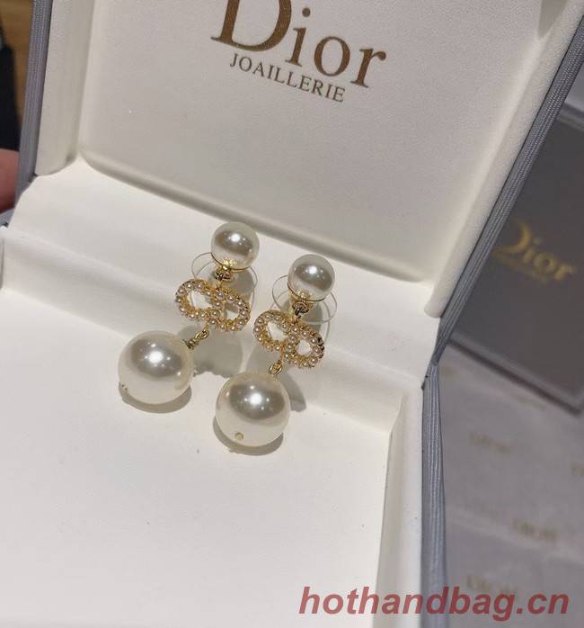 Dior Earrings CE5868