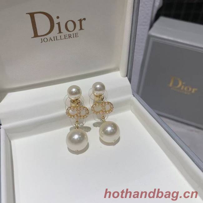 Dior Earrings CE5868