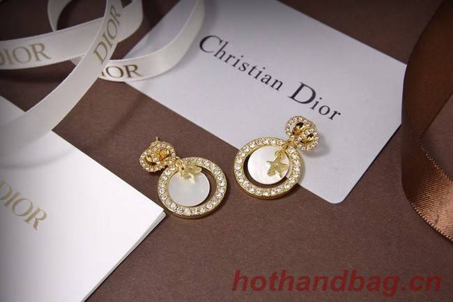 Dior Earrings CE5873